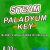 Steam Random (PALADYUM) Key