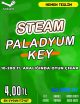 Steam Random (PALADYUM) Key