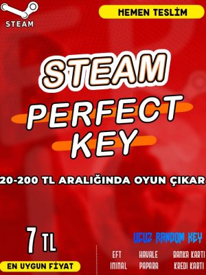 Steam Random (PERFECT) Key
